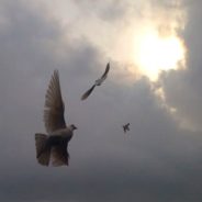 Празднование Благовещения